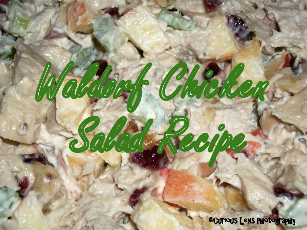 Waldorf Chicken Salad Recipe: Look! We're Learning!